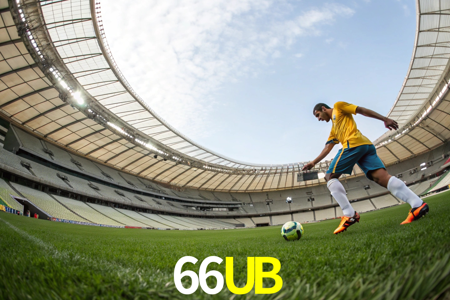 apostas esportivas